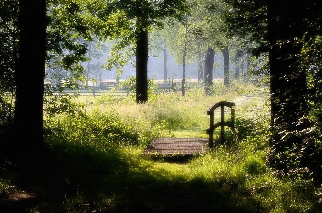 Nieuw: Kom In De Bedstee Uniek! วินเทอร์ชไวค์ ภายนอก รูปภาพ